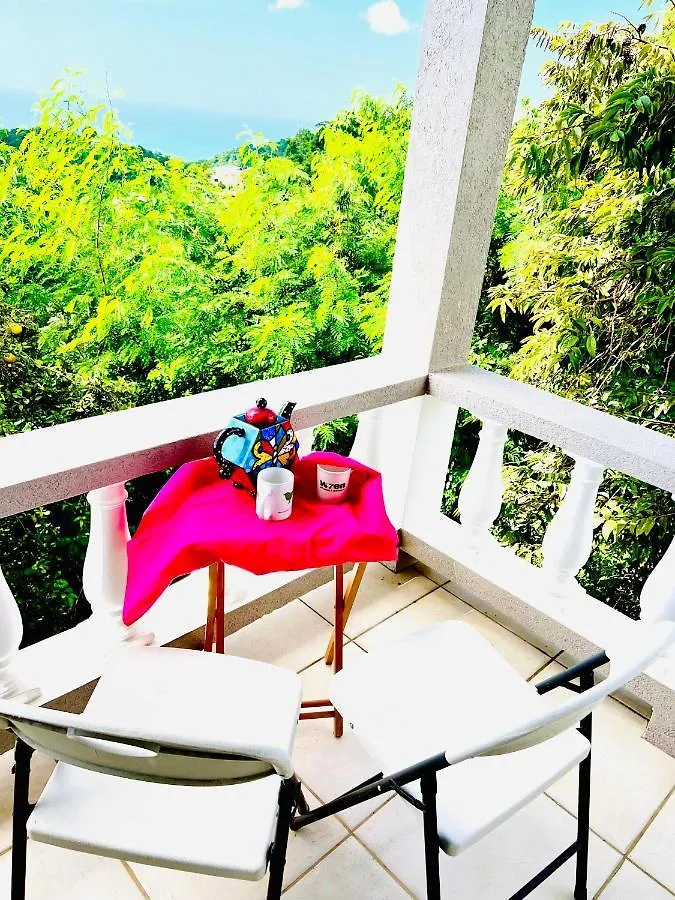 Morne Jaloux Ridge Jealous Mountain Bed-Sit 아파트 그레나다